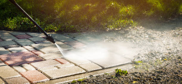 Best Animal Enclosure Cleaning  in Florham Park, NJ
